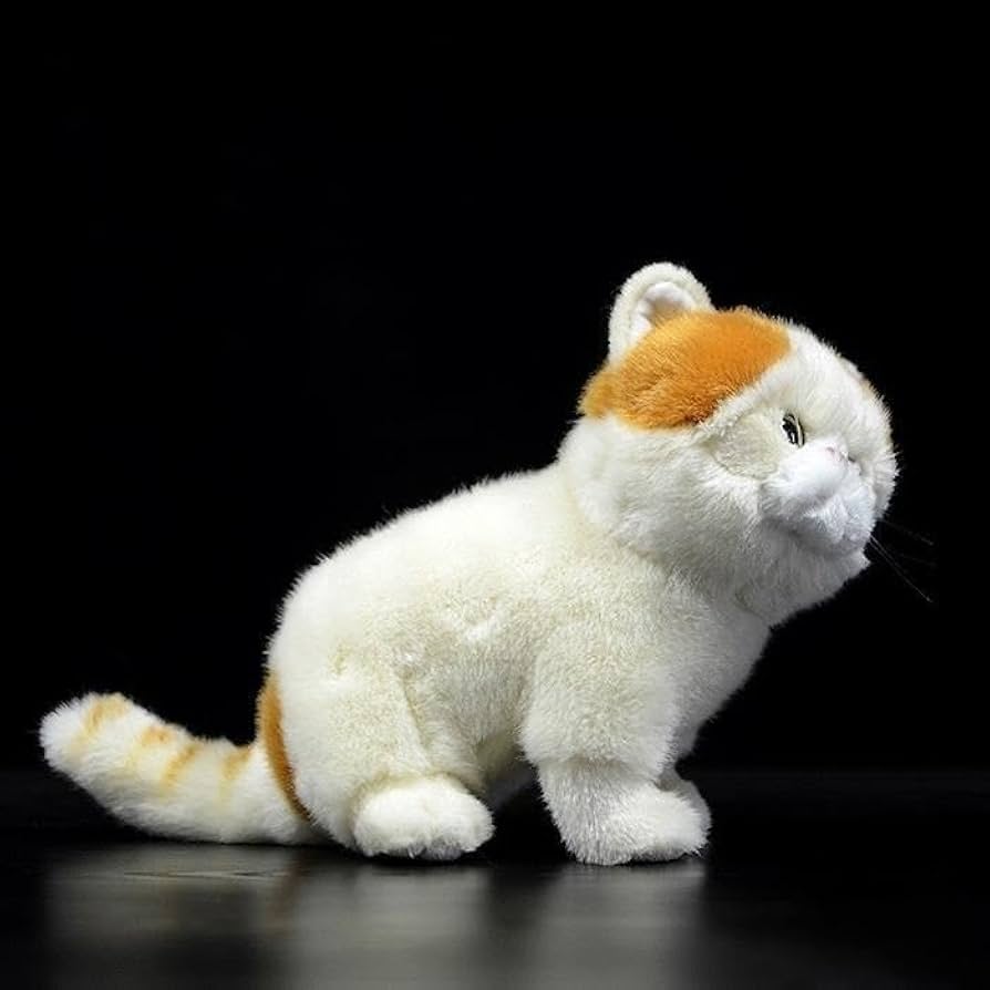 ぬいぐるみの三英　ペルシャ猫　ぬいぐるみ　中古品 ぬいぐるみの三英 ペルシャ猫 ぬいぐるみ 中古品 楽天市場】猫